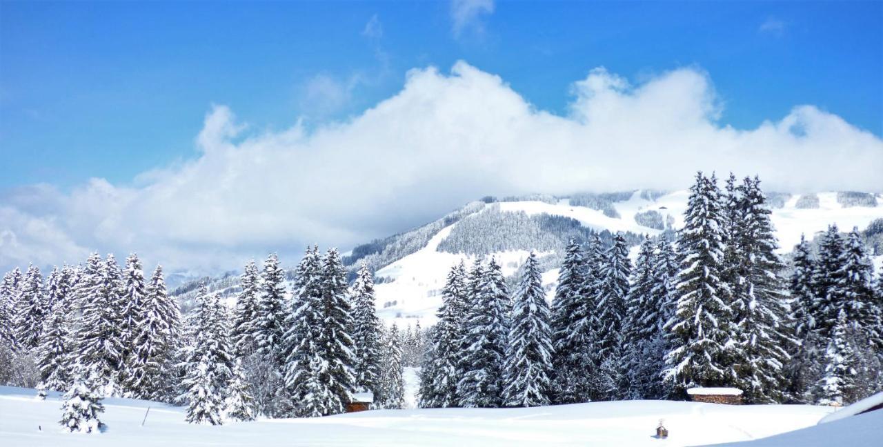 Hotel La Grange D'Arly Megève Exteriér fotografie